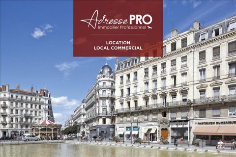 Local professionnel 1050 69007 Lyon 07