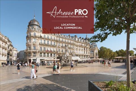 Local professionnel 2230 34000 Montpellier