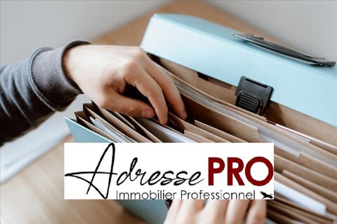 Local professionnel 850 95300 Pontoise