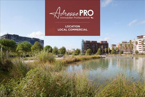 Local professionnel 2138 34000 Montpellier