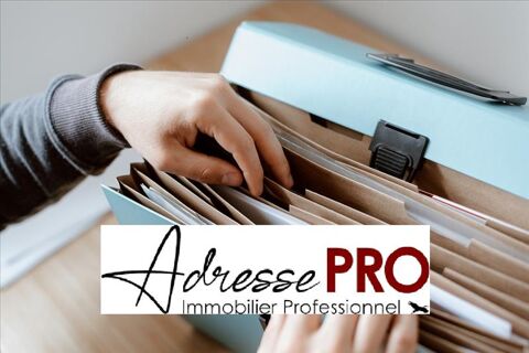   Local professionnel 