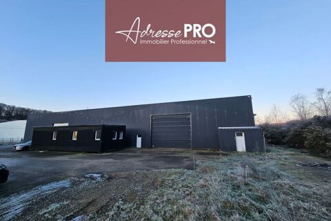 Local professionnel 6666 29400 Landivisiau