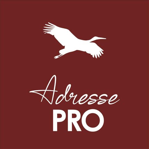 Murs commerciaux 171520 64100 Bayonne