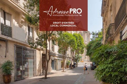 Local professionnel 1000 34000 Montpellier