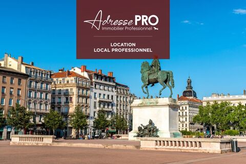 Local professionnel 950 69006 Lyon 06