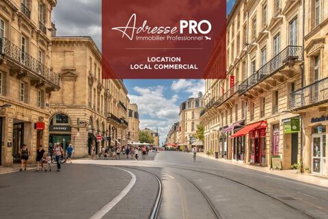 Local professionnel 3000 33000 Bordeaux