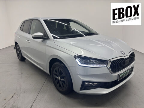 Annonce voiture Skoda Fabia 20700 
