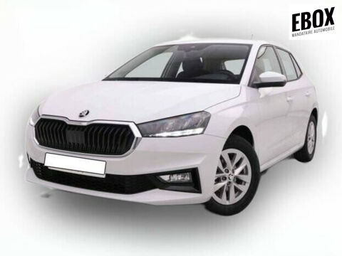 Annonce voiture Skoda Fabia 20860 