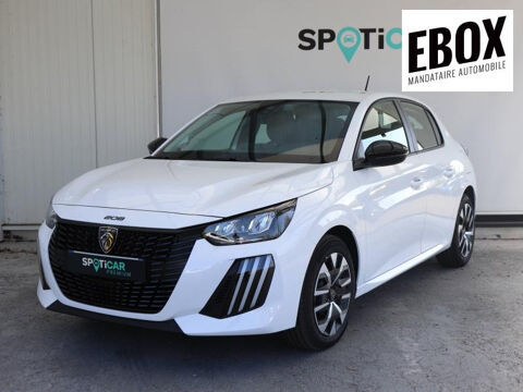 Annonce voiture Peugeot 208 17700 