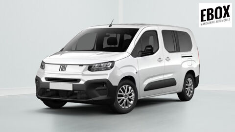 Annonce voiture Fiat Doblo 29540 €