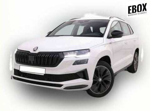 Annonce voiture Skoda Karoq 36450 