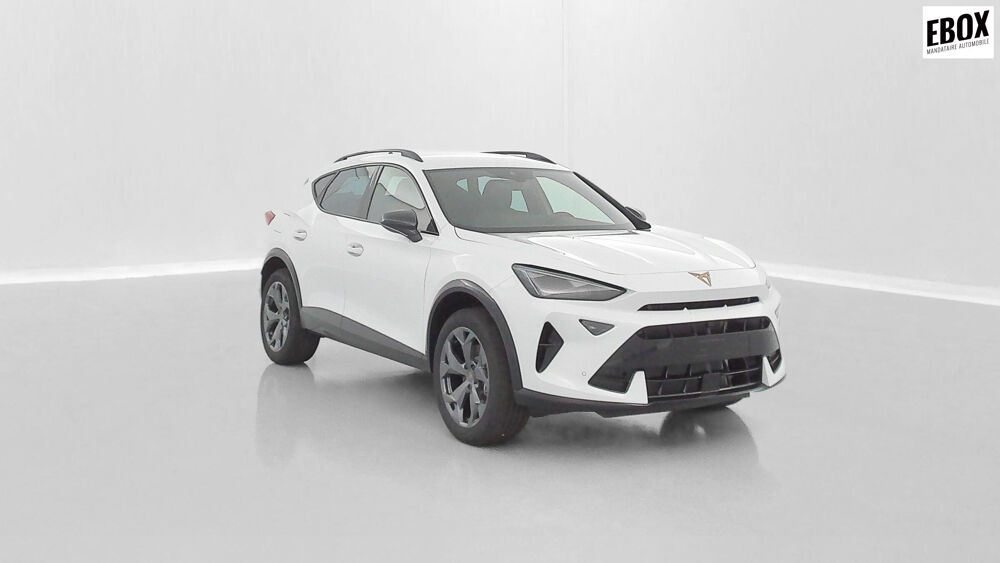 Formentor 2.0 TDI 150ch V DSG7 2025 occasion 62110 Hénin-Beaumont
