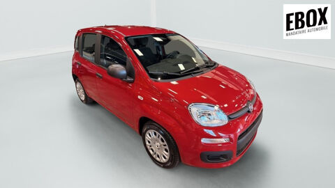 Fiat Panda 1.0 70 ch Hybrid BSG S S City 2025 occasion H&eacute;nin-Beaumont 62110