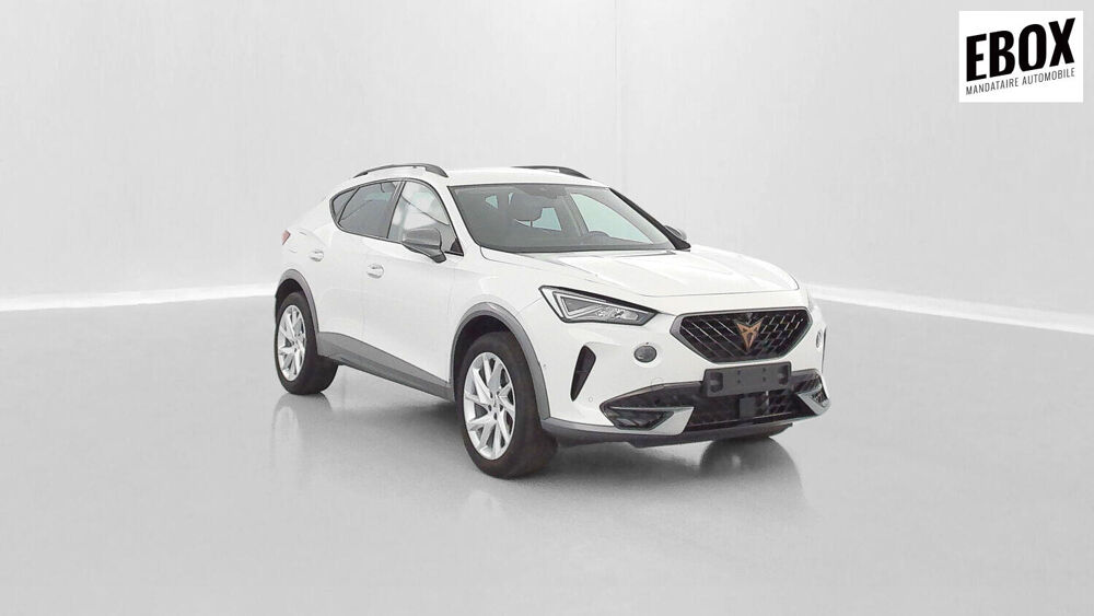 Formentor 2.0 TDI 150ch V 2023 occasion 62110 Hénin-Beaumont