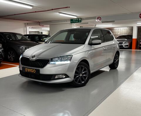 Annonce voiture Skoda Fabia 10980 