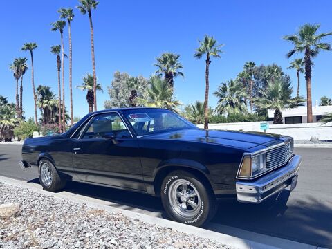 Chevrolet Divers 1979 1979 occasion Lyon 69002