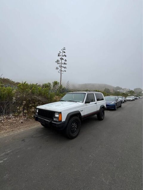Jeep Cherokee 1994 1994 occasion Lyon 69002