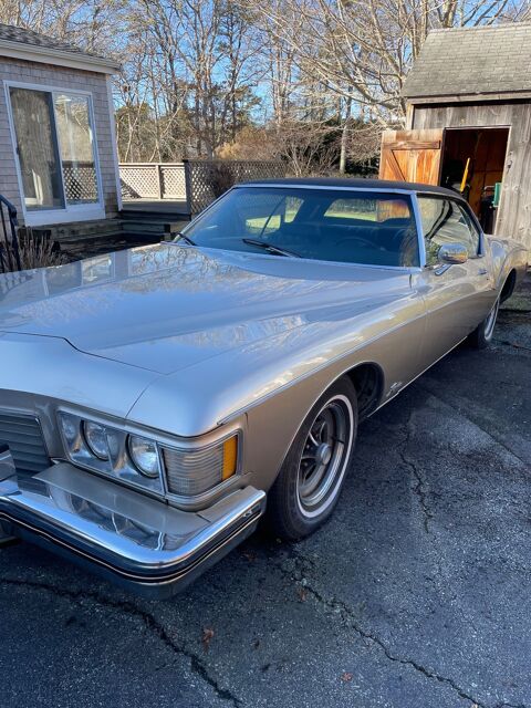 Buick Divers 1973 1973 occasion Lyon 69002