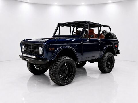 Ford Bronco 1974 1974 occasion Lyon 69002