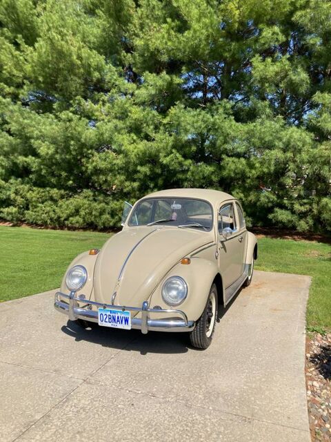 Volkswagen Beetle 1966 1966 occasion Lyon 69002