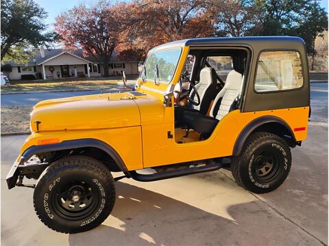 Jeep Divers 1978 1978 occasion Lyon 69002