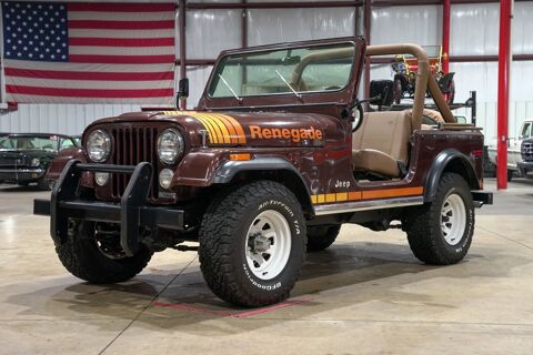 Jeep Renegade 1980 1980 occasion Lyon 69002