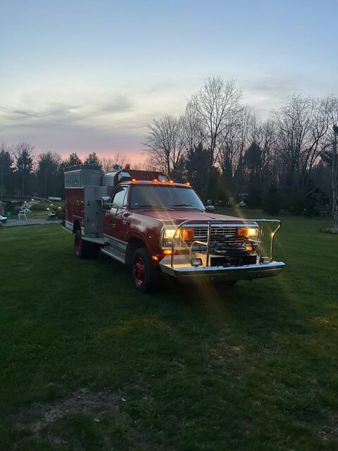 Dodge Divers 1979 1979 occasion Lyon 69002