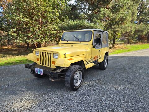 Jeep Wrangler 1989 1989 occasion Lyon 69002
