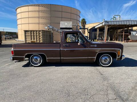 Chevrolet Divers 1979 1979 occasion Lyon 69002