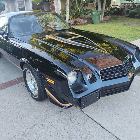 Chevrolet Camaro 1979 1979 occasion Lyon 69002