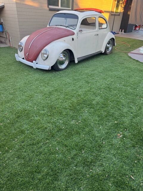 Volkswagen Beetle 1961 1961 occasion Lyon 69002