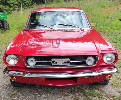 Ford Mustang 1966 1966 occasion Lyon 69002