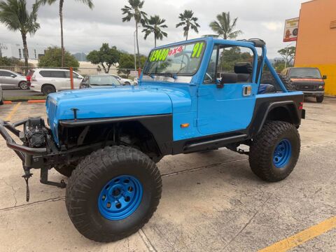 Jeep Wrangler 1991 1991 occasion Lyon 69002