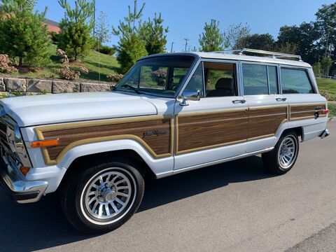 Jeep Grand Cherokee 1991 1991 occasion Lyon 69002