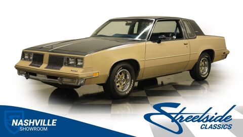 Oldsmobile Divers 1981 1981 occasion Lyon 69002