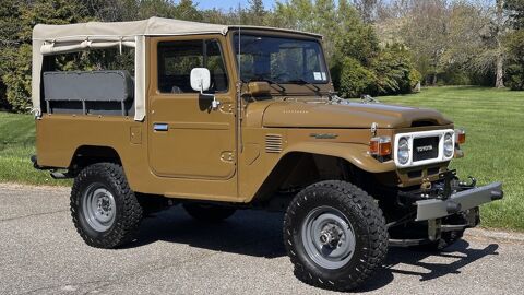 Toyota Land Cruiser 1979 1979 occasion Lyon 69002