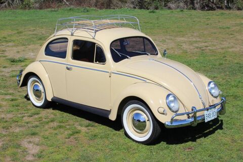 Volkswagen Beetle 1956 1956 occasion Lyon 69002