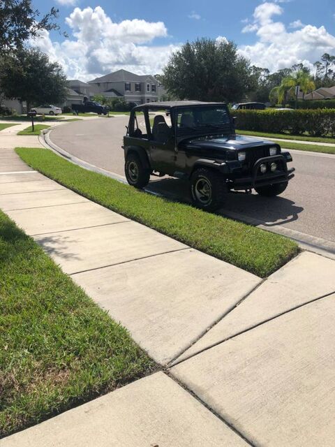 Jeep Wrangler 1993 1993 occasion Lyon 69002