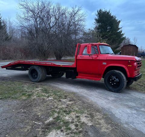 Dodge Divers 1973 1973 occasion Lyon 69002