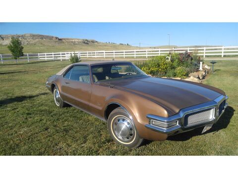 Oldsmobile Divers 1968 1968 occasion Lyon 69002