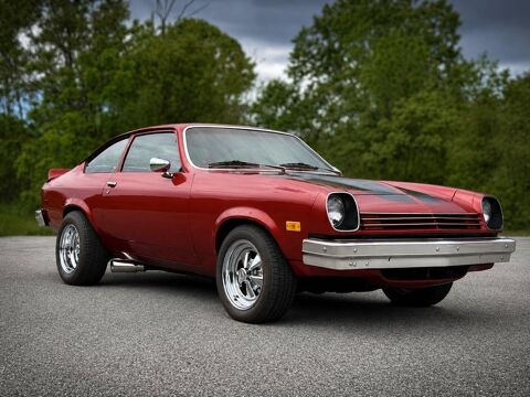 Chevrolet Divers 1976 1976 occasion Lyon 69002
