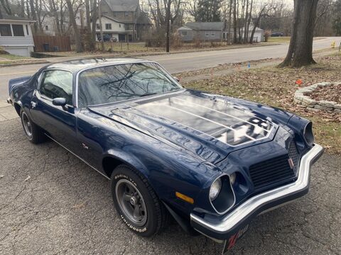 Chevrolet Camaro 1974 1974 occasion Lyon 69002