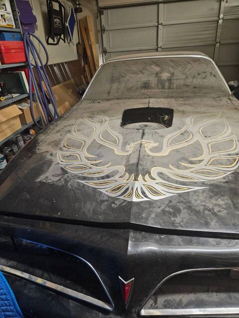 Pontiac TransSport 1978 1978 occasion Lyon 69002