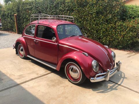 Volkswagen Beetle 1965 1965 occasion Lyon 69002
