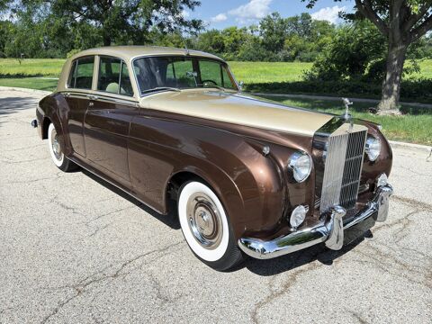 Rolls-Royce Silver Dawn 1959 1959 occasion Lyon 69002