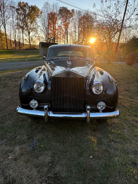 Rolls-Royce Silver Dawn 1961 1961 occasion Lyon 69002