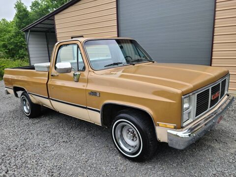 GMC Sierra 1985 1985 occasion Lyon 69002