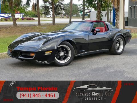 Chevrolet Corvette 1979 1979 occasion Lyon 69002