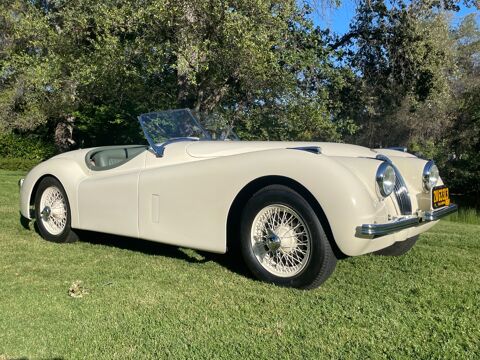 Jaguar XK 1952 1952 occasion Lyon 69002