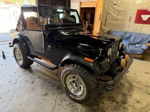 Jeep Divers 1979 1979 occasion Lyon 69002